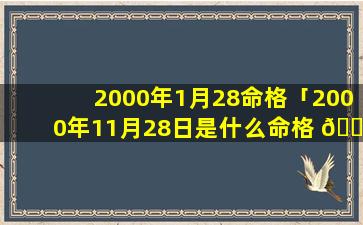 2000年1月28命格「2000年11月28日是什么命格 🐺 」